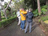 im botanischen Garten