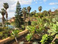 wir wohnen in einem botanischen Garten (Eden)