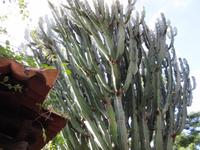 wie heißt der ??? (Fatima weiß es...)