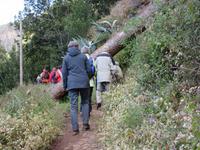 hier müssen alle durch