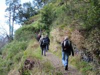 dann geht's schon wieder bergauf