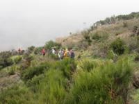 Wanderung auf der Hochebene Paul da Serra