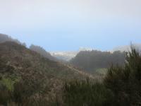 ..noch gibt es Lichtblicke