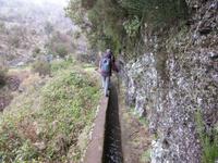 entlang der Levada do Paul