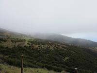 der Nebel kommt näher