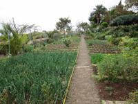 der Gemüsegarten steht, wir können nach Hause