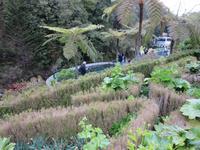 Forellenzucht in Ribeiro Frio