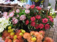 Blumenpracht in der Markthalle
