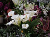 Blumenpracht in der Markthalle