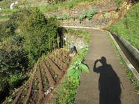 steile Terrassenfelder