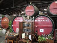 in der Weinhandlung (Funchal)