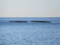 Fischfarm vor Riveira brava