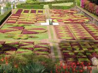 Im Botanischen Garten von Funchal