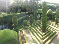 Im Botanischen Garten von Funchal