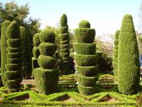 Im Botanischen Garten von Funchal