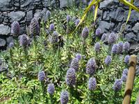 Cabo Girao - Stolz Madeiras