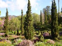 Quinta do Palheiro - Anwesen der Familie Blandy