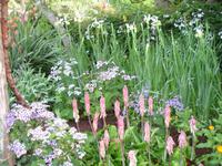 Quinta do Palheiro - Anwesen der Familie Blandy