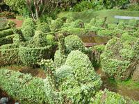 Quinta do Palheiro - Anwesen der Familie Blandy