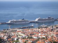 Blick auf den Hafen von Funchal vom Orchideengarten  