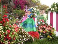 Festumzug zum Blumenfest in Funchal