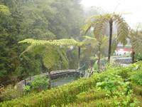 Ribeiro Frio im Regen