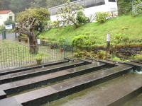 Ribeiro Frio - Forellenzucht