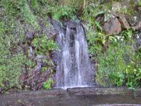 Levada-Wanderung - Wasserfall