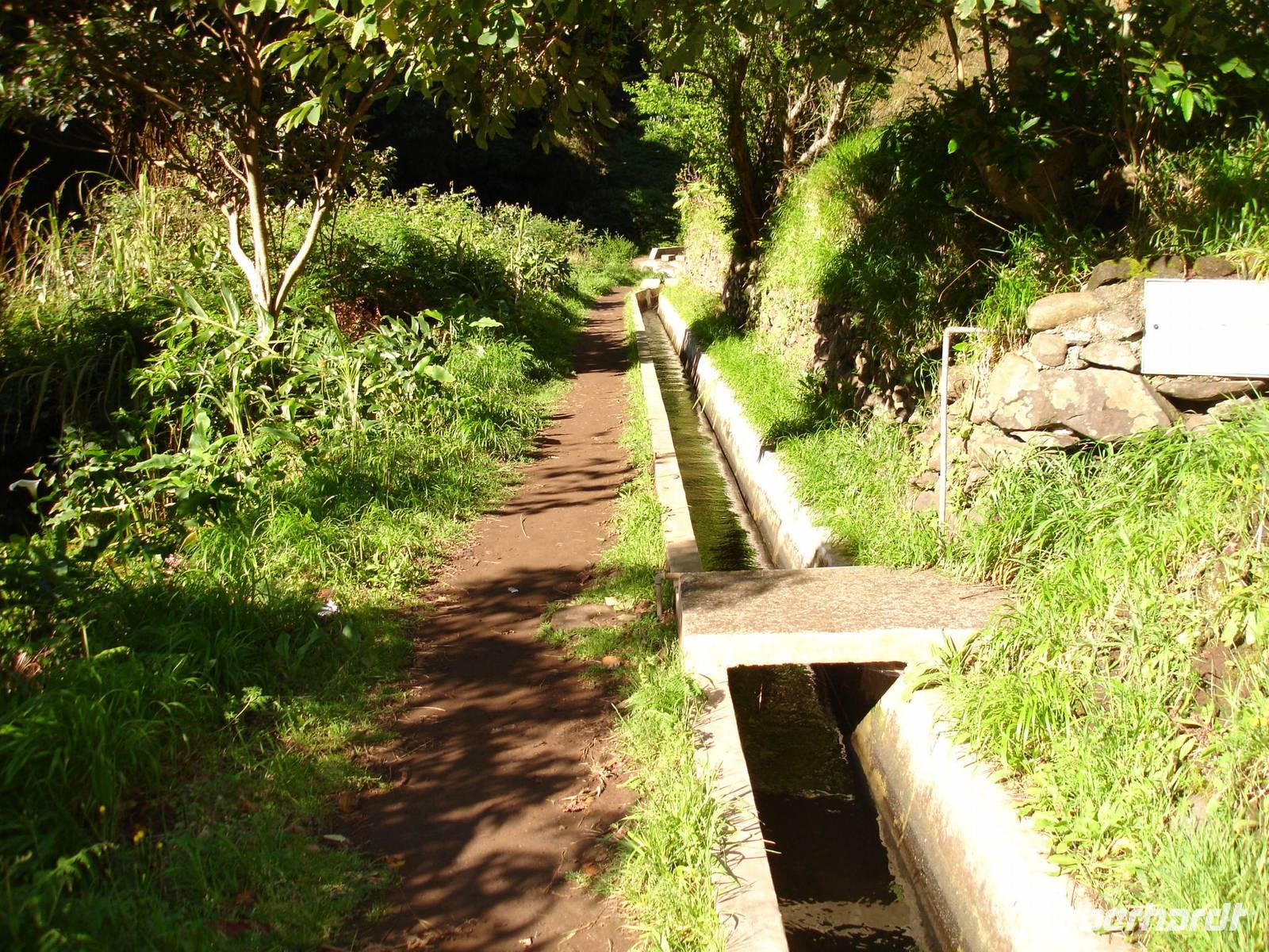 Levada-Wanderung - Wanderweg