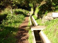 Levada-Wanderung - Wanderweg