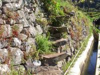 Levada-Wanderung -  alter Treppenaufgang