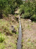 Levada-Wanderung - Bewässerungsgräben hinab ins Tal