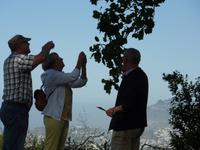 Blütenpracht in der Quinta Palheiro