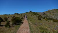 Wanderung zum Pico do Ruivo
