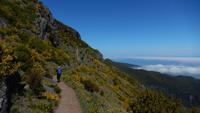 Wanderung zum Pico do Ruivo