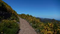 Wanderung zum Pico do Ruivo