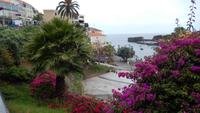 Camara de Lobos