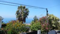 Blick auf Funchal
