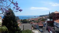 Blick auf Funchal