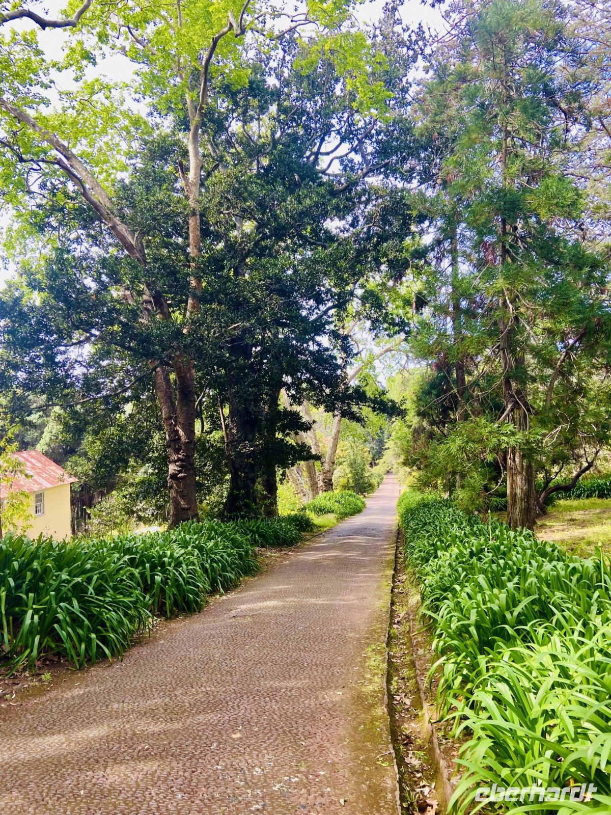 Allee am Eingang 