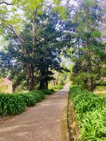 Allee am Eingang 