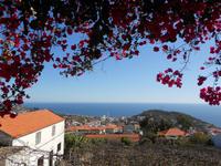 Ausblick Weinberg