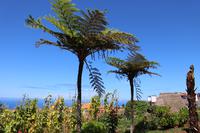 Ausblick in Santana