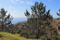 Ausblick