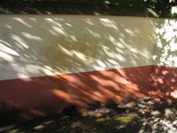 Besuch der Palheiro Gardens in Funchal