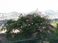 Besuch des Botanischen Garten 
