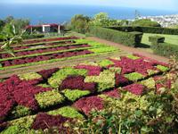 Besuch des Botanischen Garten 