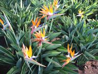 Besuch des Botanischen Garten 