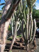 Besuch des Botanischen Garten 