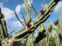 Besuch des Botanischen Garten 